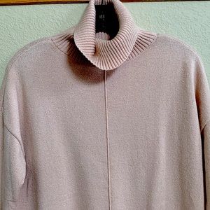 Ann Taylor Turtleneck Sweater